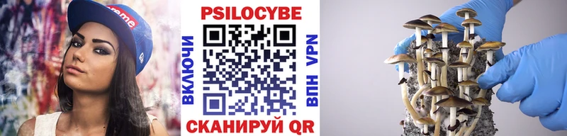 Галлюциногенные грибы Magic Shrooms  купить закладку  Салехард 